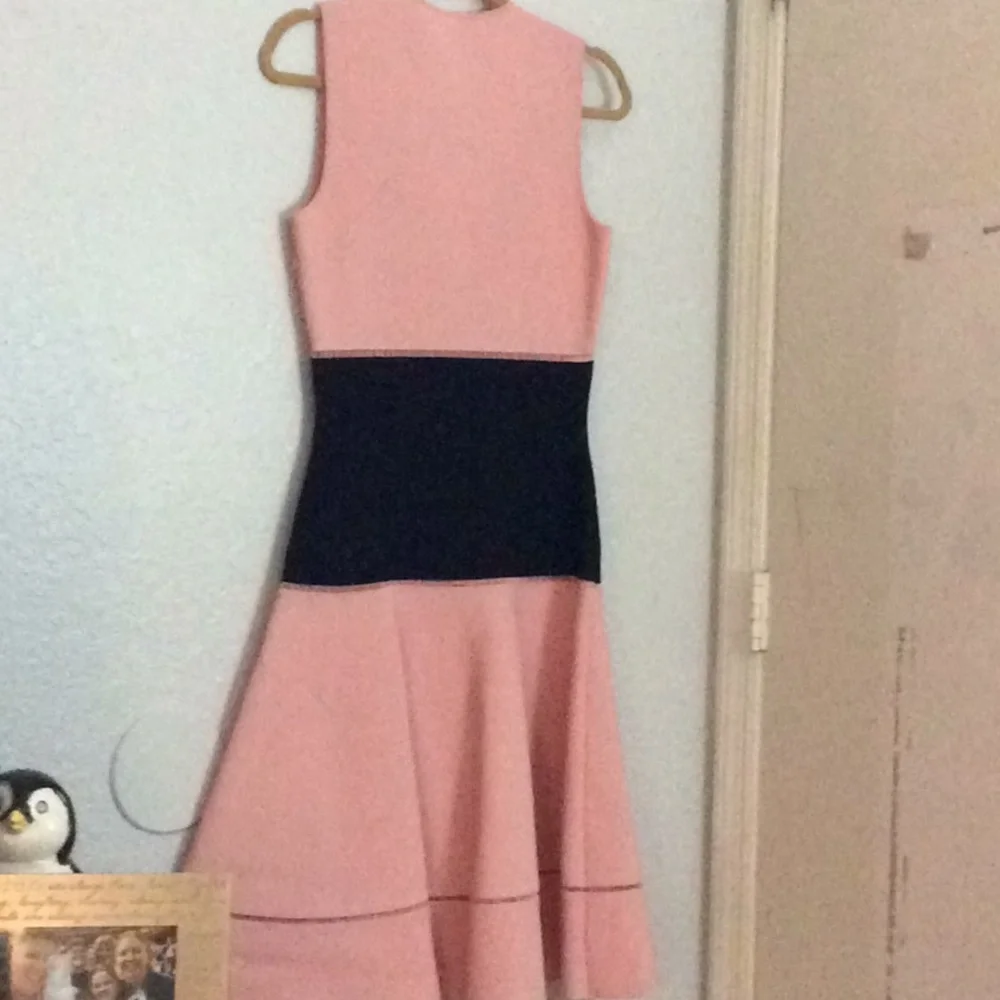 Alexander McQueen Pink and Black Dress - Picture 2 of 5